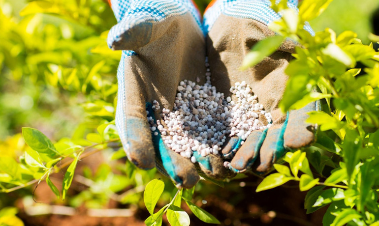 Crestview Landscaping